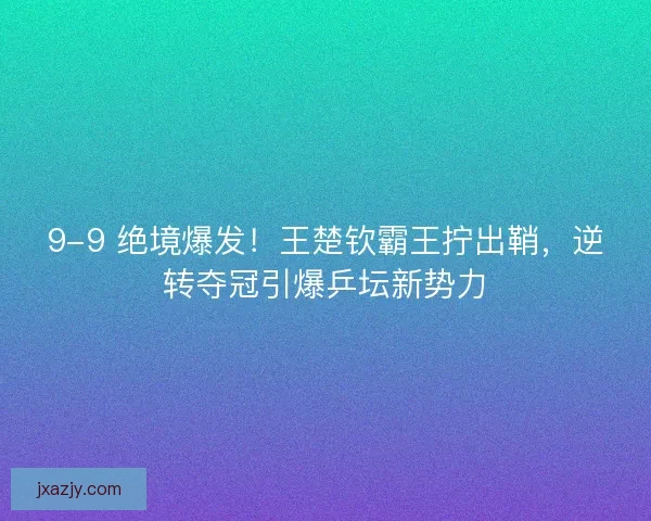 9-9 绝境爆发！王楚钦霸王拧出鞘，逆转夺冠引爆乒坛新势力